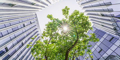TELUS